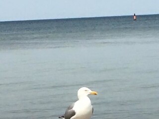 Ferienwohnung Zingst Ausstattung 14
