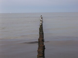 Zingst Strand