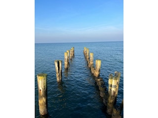 Ferienwohnung Zingst Außenaufnahme 8