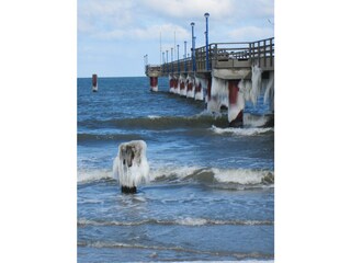 Seebrücke im Winter