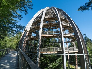 Baumwipfelpfad im Nationalpark