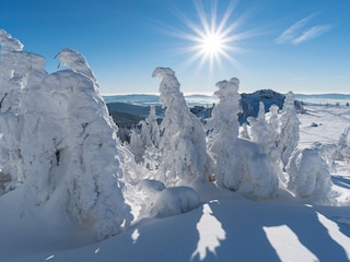 Herrliches Winterwandern