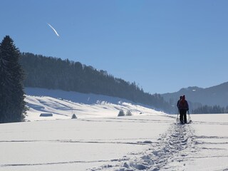 Schneeschuhwandern - magisch...