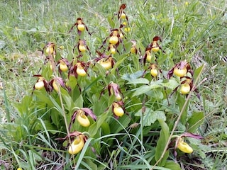 Appartamento per vacanze Mondsee Ambiente 29