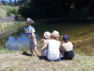 Appartamento per vacanze Mondsee Ambiente 30