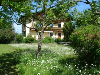 Appartamento per vacanze Mondsee Registrazione all'aperto 3