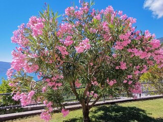 Appartamento per vacanze Tignale Registrazione all'aperto 7