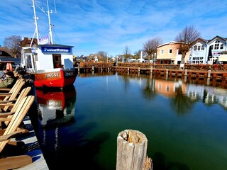 Zingst Hafen