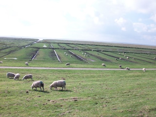 Umgebung