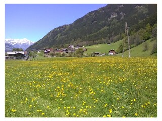 Appartamento per vacanze Kaltenbach  27