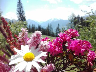 Appartamento per vacanze Kaltenbach  15
