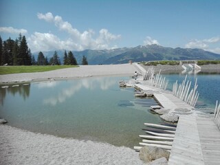 Appartamento per vacanze Kaltenbach  17