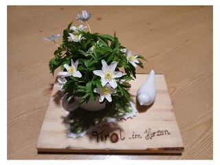 Vakantieappartement Kaltenbach  14