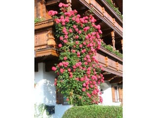Vakantieappartement Kaltenbach Buitenaudio-opname 3