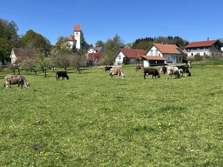 Vom Bauernhof Sicht zum Haus
