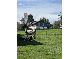 Sicht vom Bauernhof Brauchle zum Haus