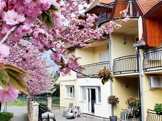 Spring time