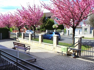 Look from Balcony in May
