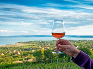 Balaton and the winyards