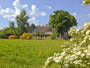 Ferienhaus Altes Schifferhaus - Wieck - image1