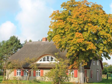 Ferienhaus Altes Schifferhaus