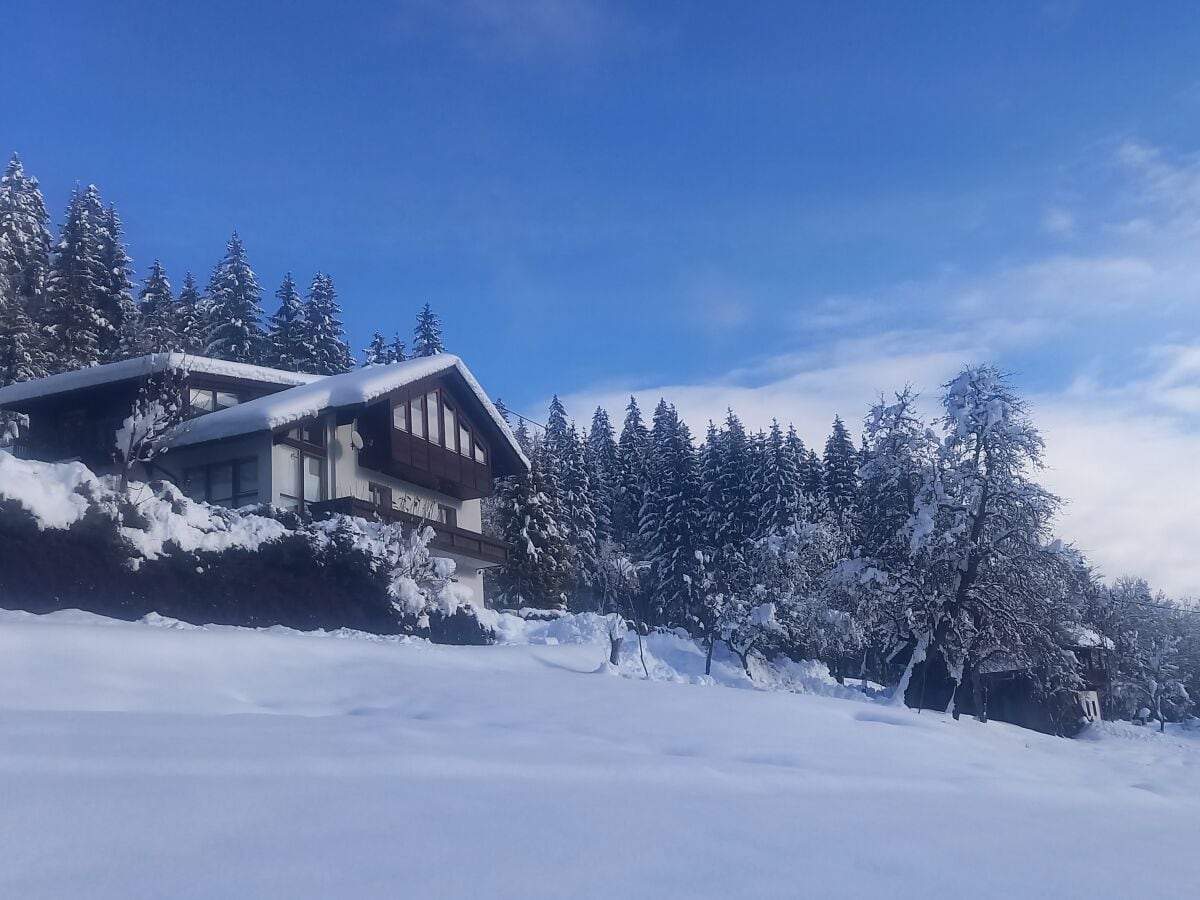 Ferienhaus Waldhof mit Wiese davor im Winter