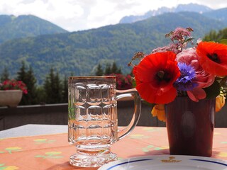 Appartement Hermagor Kenmerken 16