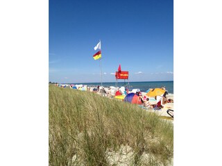 Traumhafter Strand an der Ostsee