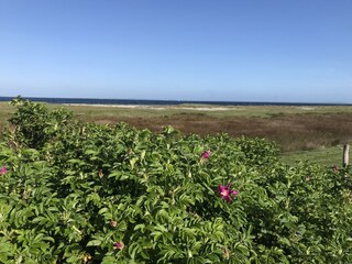 Entspannung in der Natur- ob zu Fuß oder mit dem Rad