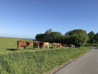 Hier finden Sie Ruhe und Entspannung