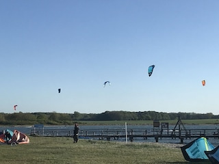 Bunte Kiteschirme am Strand von Wackerballig