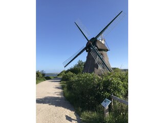 Naturliebhaber und Ornithologen in der Geltinger Birk
