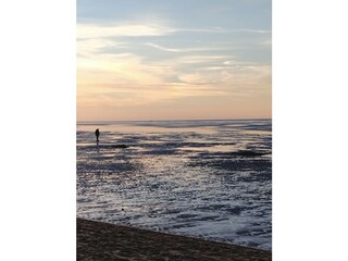 Wattenmeer am Abend