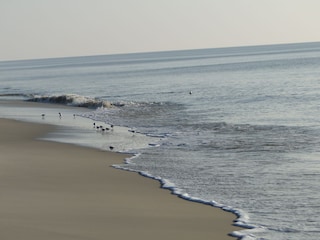 Strand Rantum
