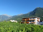 Weinmesserhof in the vineyard