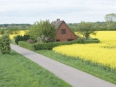 Ferienhaus Pelsrade in der Rapsblüte