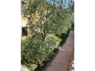 Appartamento Brenzone sul Garda Registrazione all'aperto 8