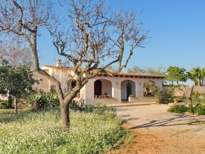 Finca "Sa Vinya" with pool and panoramic view - Portopetro - image1