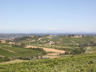 Die Sicht über die Weinberge