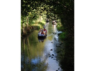 Vakantiehuis Burg im Spreewald Omgeving 29