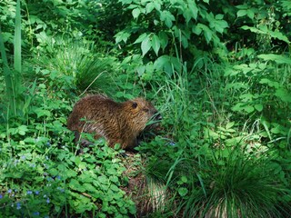 Vakantiehuis Burg im Spreewald Omgeving 31