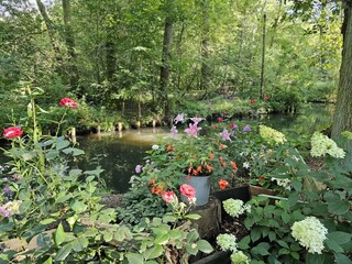 Casa per le vacanze Burg im Spreewald Documento 41