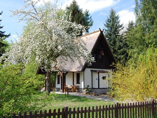 Vakantiehuis Burg im Spreewald Buitenaudio-opname 2