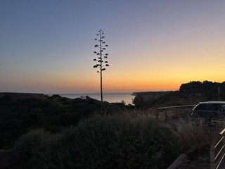 In the evening in Monte Carvoeiro