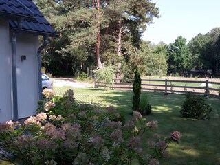 Casa per le vacanze Sewekow Documento 22