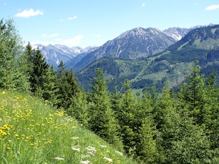 Oberhalb vom Gailenberg