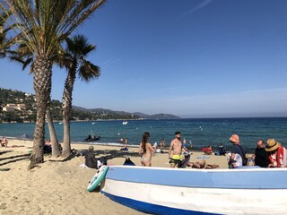 at the beach