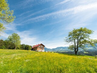 Den Frühling genießen