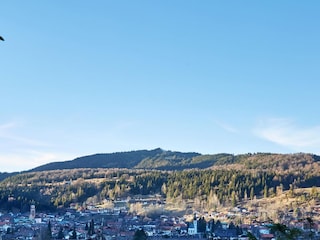 Wohnzimmerblick auf den Kranzberg und Mittenwald