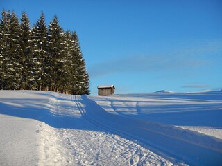 Appartamento per vacanze Mittersill Ambiente 14